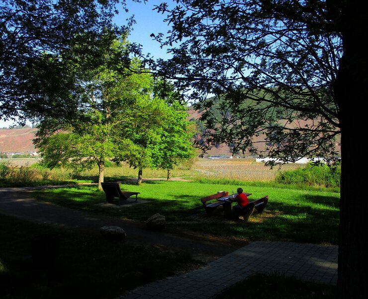 Rastplatz und Ruhebank in der Nähe der Waldkapelle
