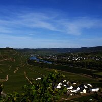 Blick auf die Weinberge, Kesten und Brauneberg