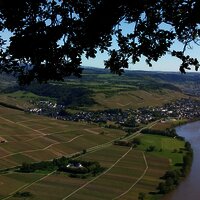Blick auf Neumagen-Dhron