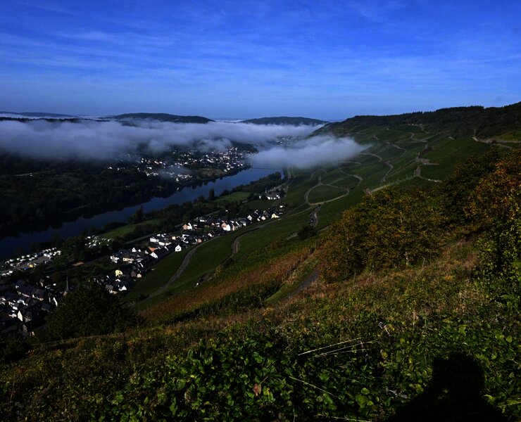 Blick_nahe_der_FeWo_Richtung_Zeltingen