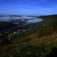 Blick_nahe_der_FeWo_Richtung_Zeltingen