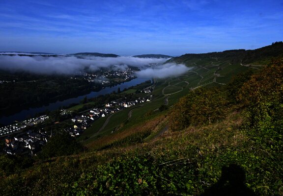 Blick_nahe_der_FeWo_Richtung_Zeltingen