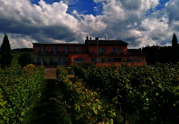 Hausansicht Tiliahof