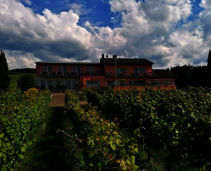 Hausansicht Tiliahof