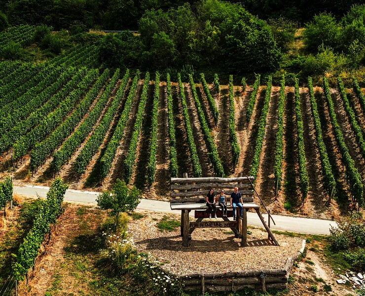 Baumelbank in Piesport