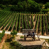 Baumelbank in Piesport