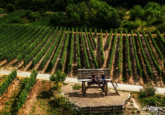 Baumelbank in Piesport