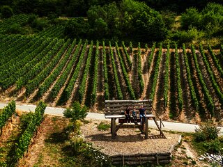Baumelbank in Piesport