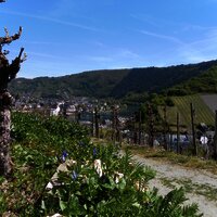 Traben-Trarbach