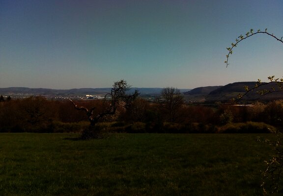 Aussicht zur Wittlicher Senke