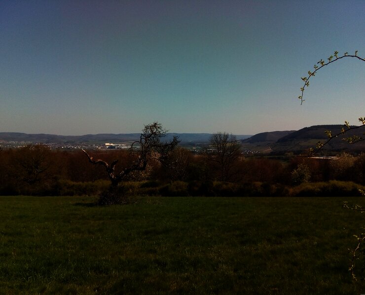 Aussicht zur Wittlicher Senke