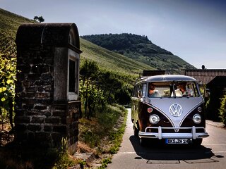 Bulli Tour durch die Weinberge