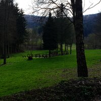 Waldabschnitt in der Nähe des Wassertretbeckens