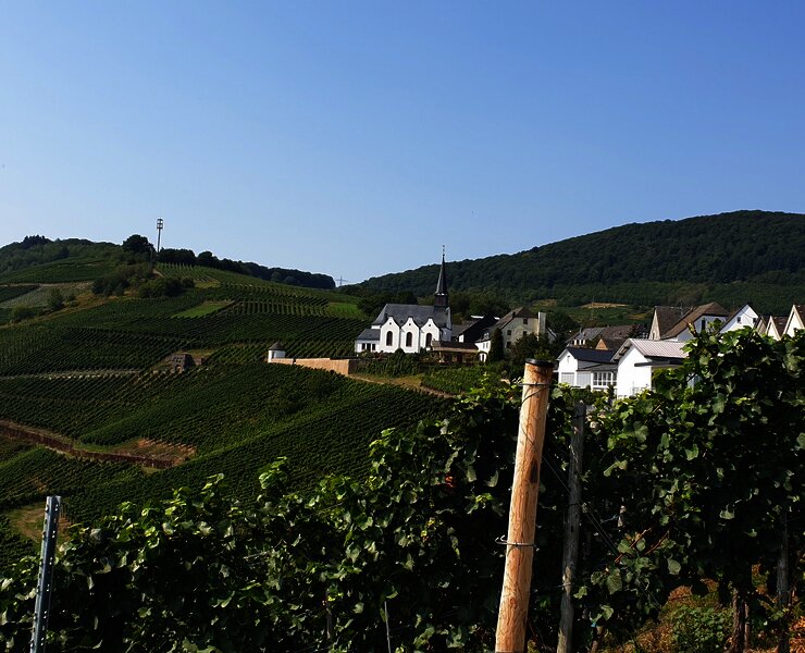 Blick vom Ortsrand in Monzel auf die Kirche