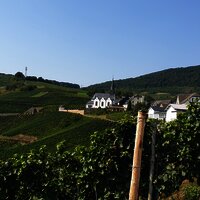 Blick vom Ortsrand in Monzel auf die Kirche