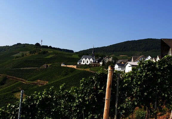 Blick vom Ortsrand in Monzel auf die Kirche