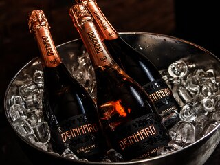 Kleine Frühlings-Sektprobe