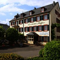 Inmitten von Weinbergen in Lieser_Foto Hotel