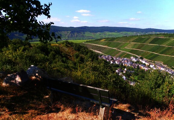 Rastplatz oberhalb Dhron