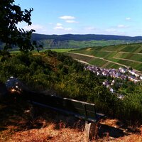 Rastplatz oberhalb Dhron