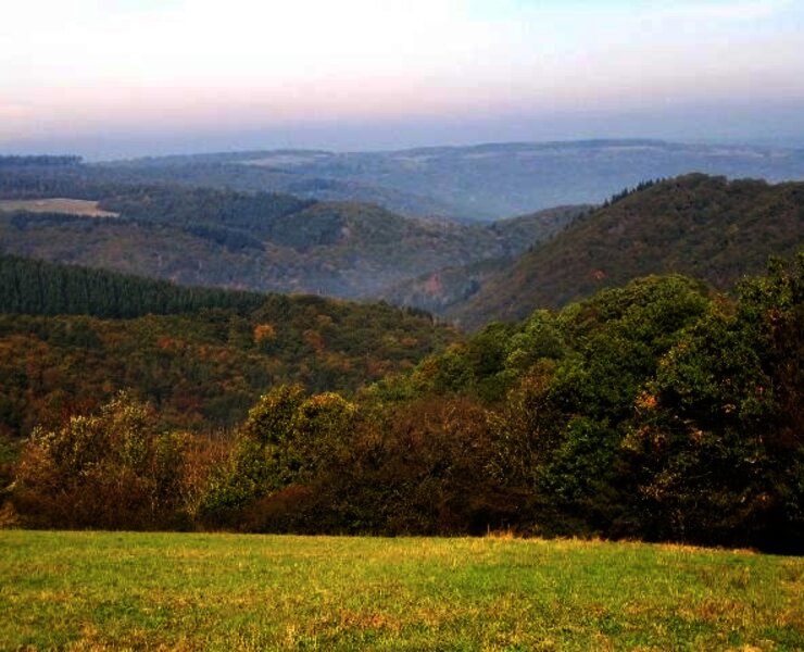Blick ins Moseltal vor Pilmeroth
