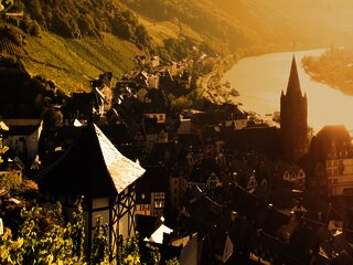 Thanisch-Häuschen im Doctorweinberg