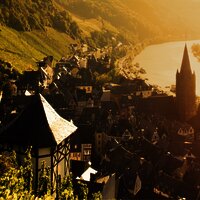 Thanisch-Häuschen im Doctorweinberg