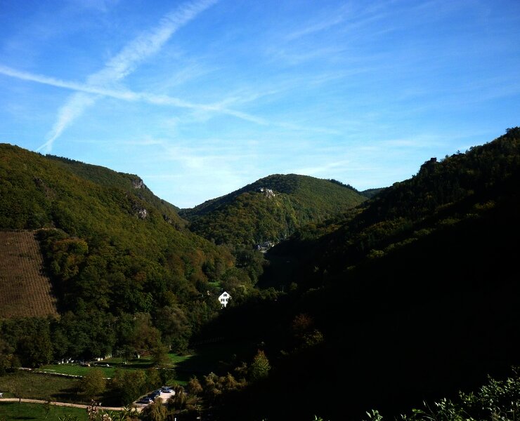 Blick ins Veldenzer Bachtal mit Schloss Veldenz