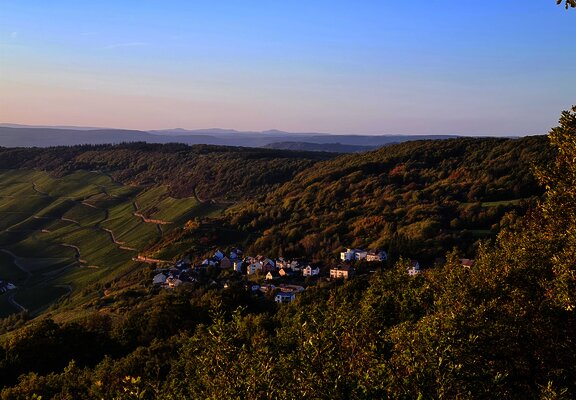 Fest auf der Schäferei
