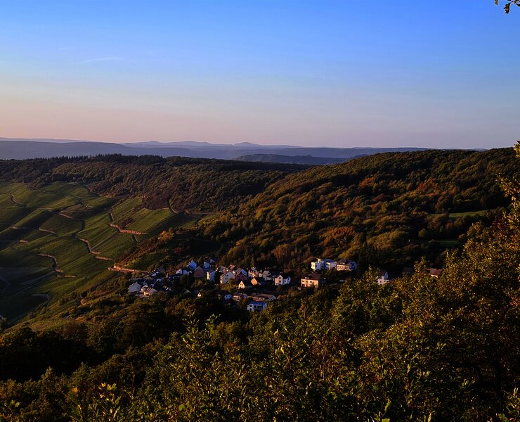 Fest auf der Schäferei