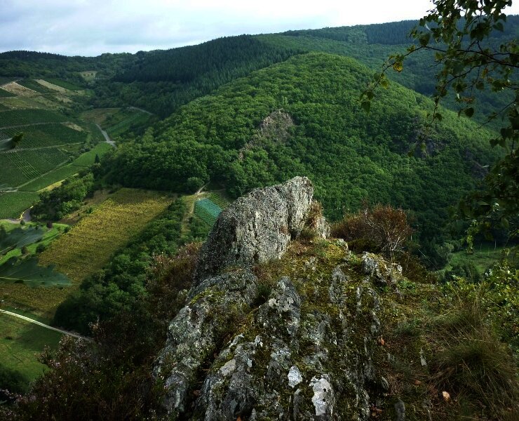 Blick über das Veldenzer Bachtal zum Langen Hammer Felsen