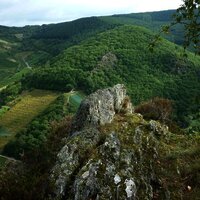 Blick über das Veldenzer Bachtal zum Langen Hammer Felsen
