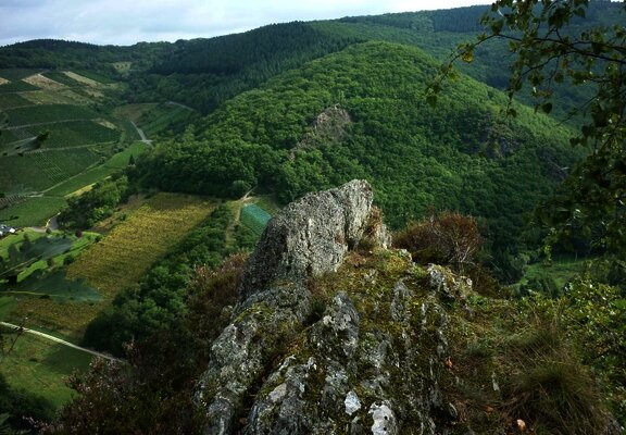 Blick über das Veldenzer Bachtal zum Langen Hammer Felsen