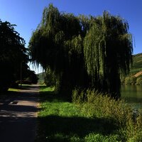 Radweg Andel entlang der Mosel