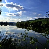 Die Mosel vom Fahrradweg