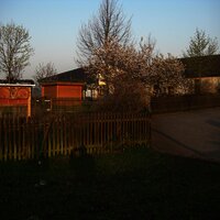 Schweich: Insektenhotels als Wegmarkierung