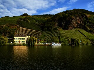 Blick auf das Weingut Geierslay