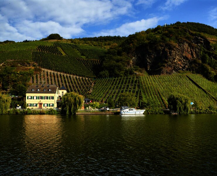 Blick auf das Weingut Geierslay