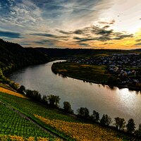 Ausblick ins Moseltal bei Piesport