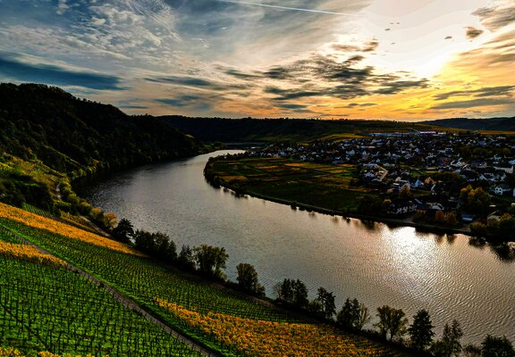 Ausblick ins Moseltal bei Piesport