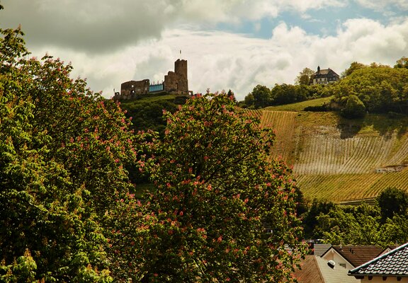 Susannes Burgblick_Aussicht