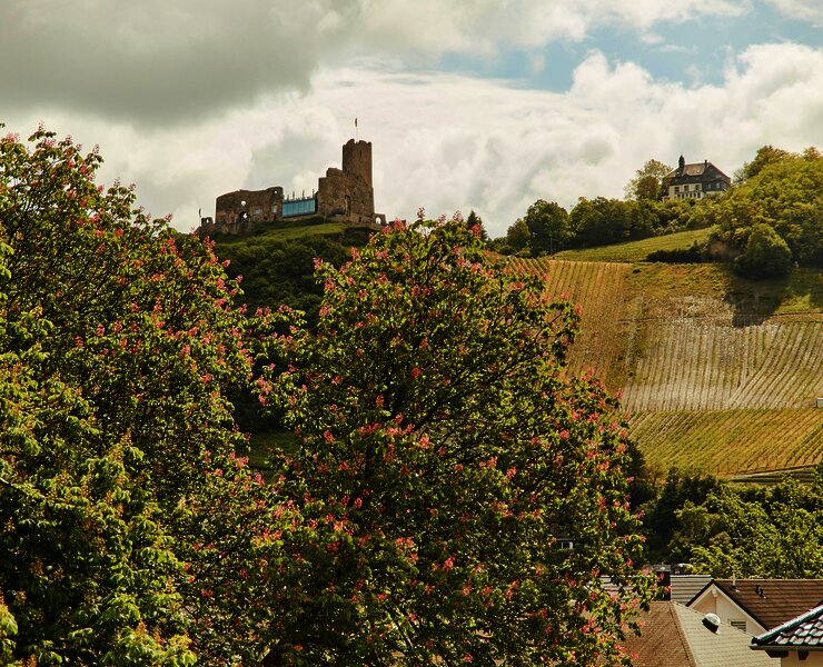 Susannes Burgblick_Aussicht
