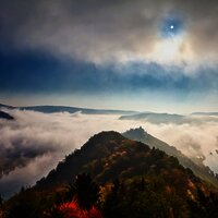 Mosel - Marienburg Rundwanderweg - Wandern - Zeller Land