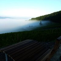Nebel im Moseltal an der Klüsserather Wetterstation