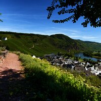 Ürziger Gewürz- & Rosengarten