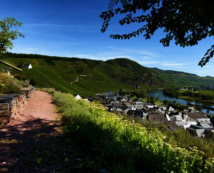 Ürziger Gewürz- & Rosengarten