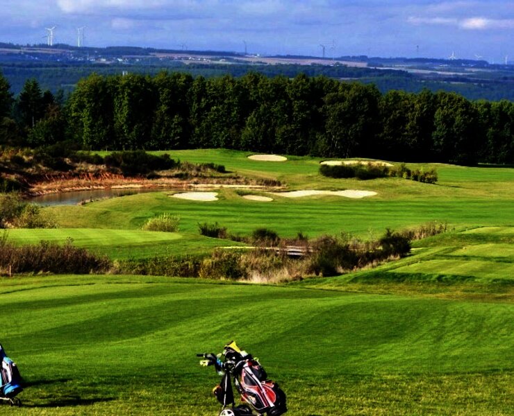 Blick auf die Grass Landschaft des Golfclubs Cochem mit Waldrand im Hintergrund