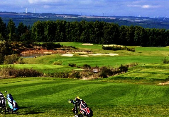Blick auf die Grass Landschaft des Golfclubs Cochem mit Waldrand im Hintergrund