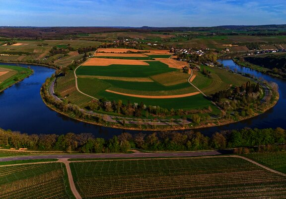 Moselschleife bei Palzem-Wehr