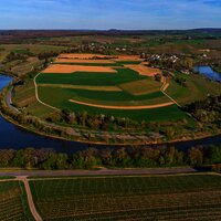Moselschleife bei Palzem-Wehr